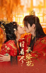 һ�տ���������