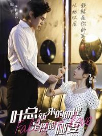 Ҷ�ܣ���������������������