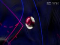 NBA�ļ����� ����VS������ 20240714