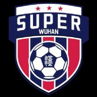 �人�������򳬼�������У�� ����ʦ����ѧ3.1�人������ѧ20251012