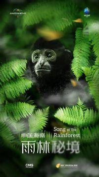 �й����ϡ������ؾ�